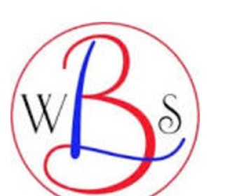 Larry Bohen Web Solutions LLC